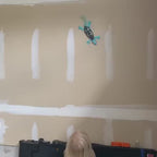 Wall Crawling Gecko