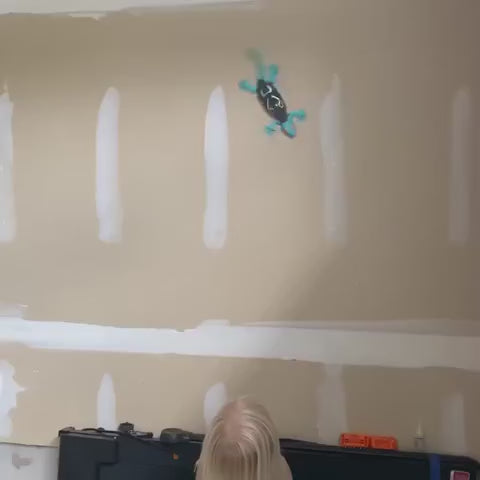 Wall Crawling Gecko